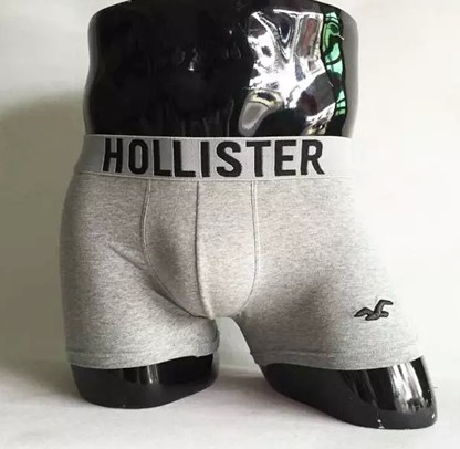 Hollister Men's Underwear 2